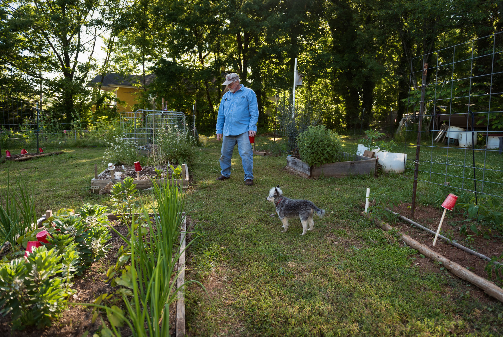 Jim and Jan Hullihan Urban Garden